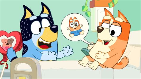 chili pregnant bluey|Fan Theory: Chili is pregnant! : r/bluey .